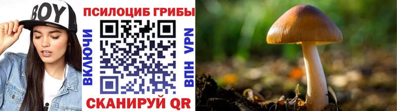 ссылка на мегу как зайти  Пушкино  Псилоцибиновые грибы ЛСД 