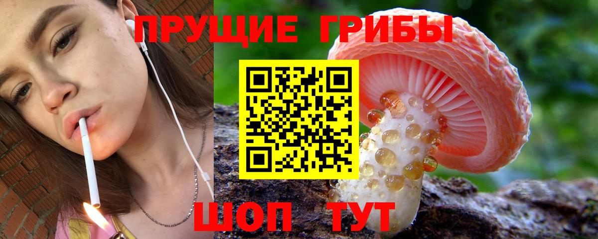Галлюциногенные грибы мицелий  наркошоп  Пушкино  Вход с VPN 